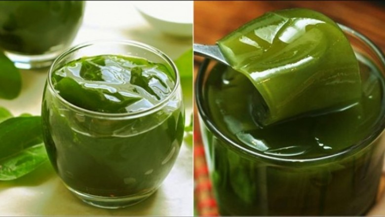 Kỹ thuật trồng cây sương sâm làm dược liệu quý cho cả gia đình