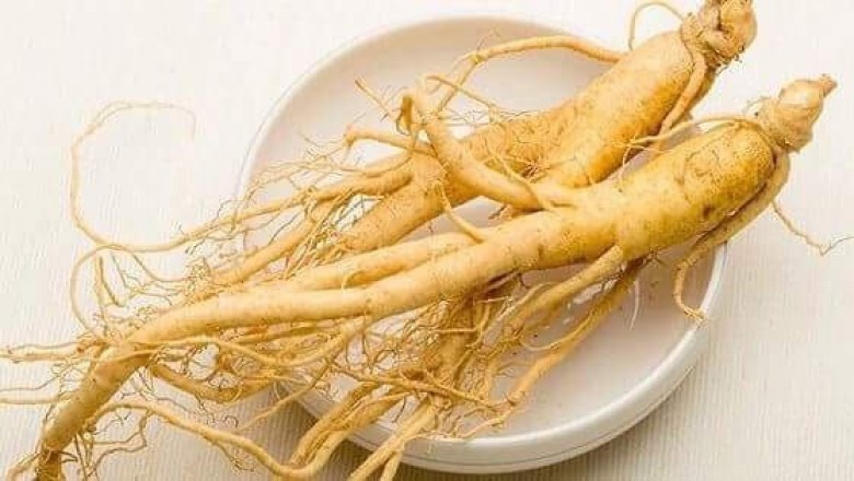 Top 6 loại thảo dược có tác dụng an nguyên khí, chống đau ốm nên dùng trong mùa đông - xuân