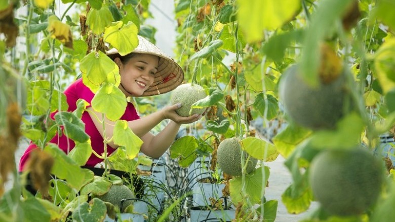 Nông nghiệp hữu cơ - xu hướng giúp nâng cao chất lượng sản phẩm
