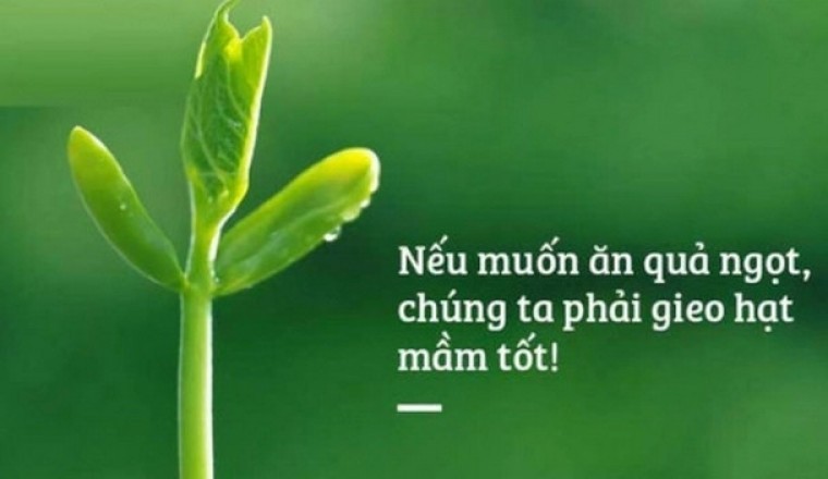 Những khai thị về nhân quả giúp bạn hết khổ mỗi ngày