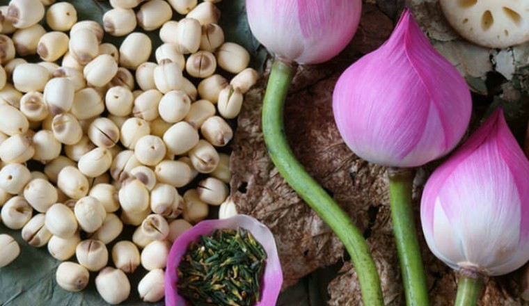 Món ăn, bài thuốc chữa bệnh từ hạt sen