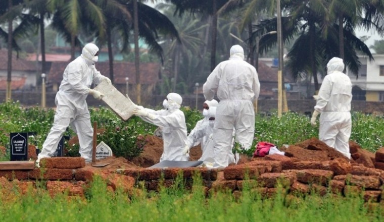 Cảnh báo virus từ dơi gây phù não có thể là đại dịch tiếp theo