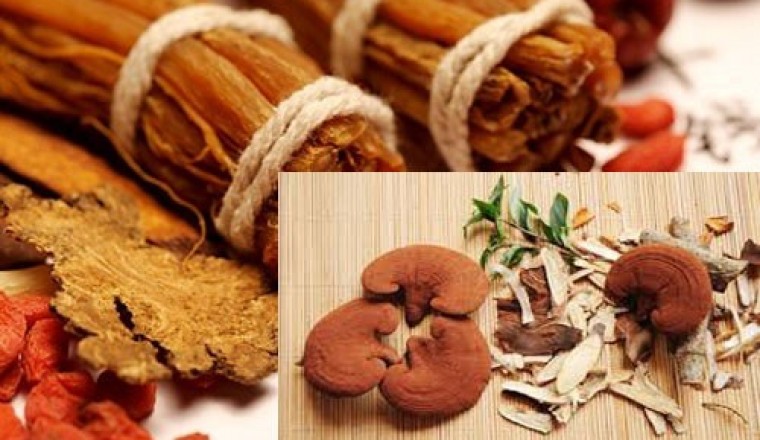 Nấm linh chi  - dược liệu quý từ thiên nhiên
