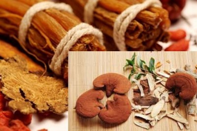 Nấm linh chi  - dược liệu quý từ thiên nhiên