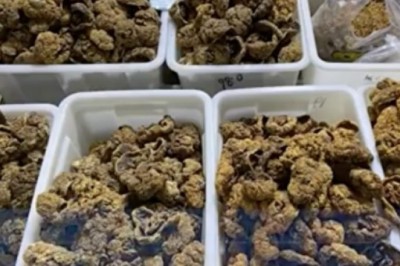 Kinh hoàng 'chợ đen’ nhau thai người lấy từ bệnh viện, nhà tang lễ ở Trung Quốc