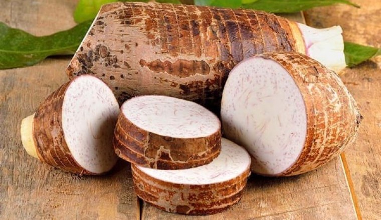 Món ăn, bài thuốc chữa bệnh từ khoai môn, khoai sọ
