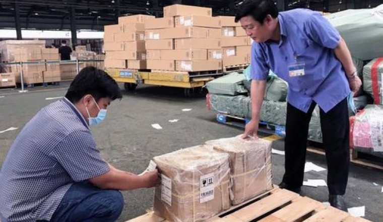 Dược liệu an xoa Quảng Trị xuất khẩu thành công sang Mỹ