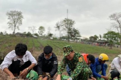 Hỗ trợ người dân biên giới trồng cây dược liệu phát triển kinh tế