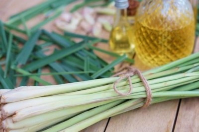 Khám phá top 7 tác dụng của cây sả đối với làn da, mái tóc và sức khỏe