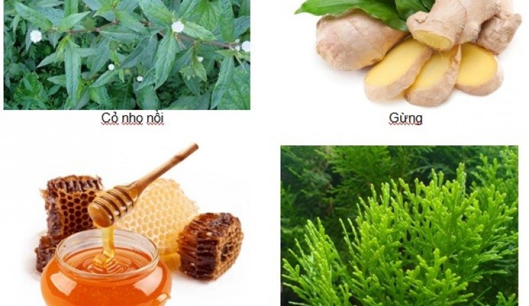 Bài thuốc Đông y trị rụng tóc an toàn và hiệu quả ngay tại nhà