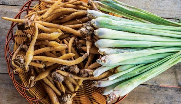 Thực hư ngải bún có thể phòng ngừa COVID-19