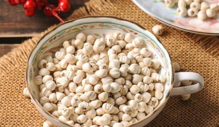 Bài thuốc cổ trị ho có đờm do phế táo