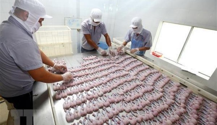 Phát hiện nhiều lô hàng nông, thủy sản Việt Nam vi phạm chất cấm của EU