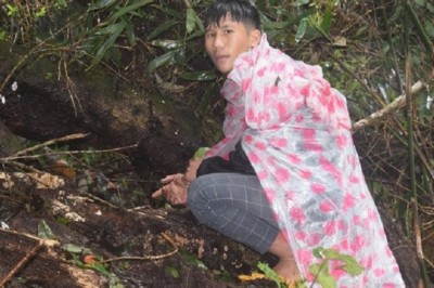 Bắt khẩn cấp thanh niên 18 tuổi trộm 72 gốc Sâm Ngọc Linh