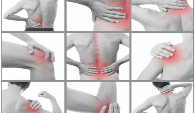 Những cây thuốc nam có tác dụng trị bệnh đau xương khớp