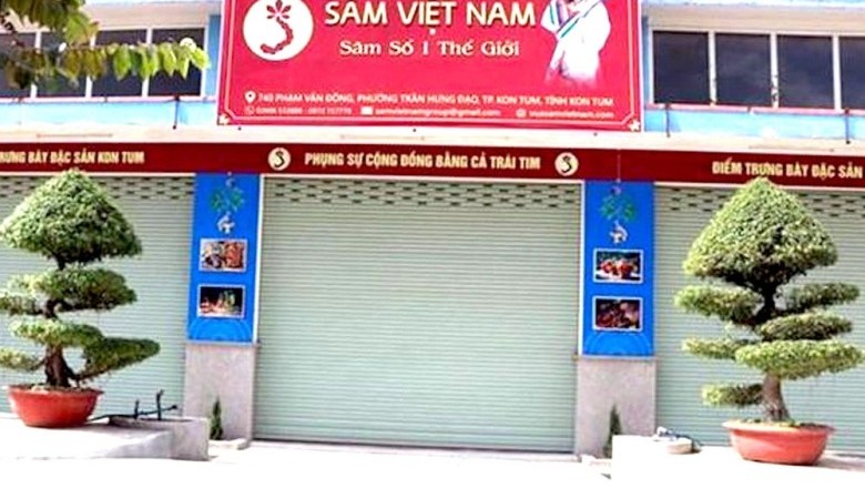 Kon Tum vào cuộc vụ công ty tuyên bố có hàng chục ha sâm Ngọc Linh
