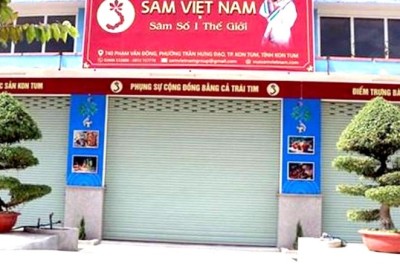 Kon Tum vào cuộc vụ công ty tuyên bố có hàng chục ha sâm Ngọc Linh
