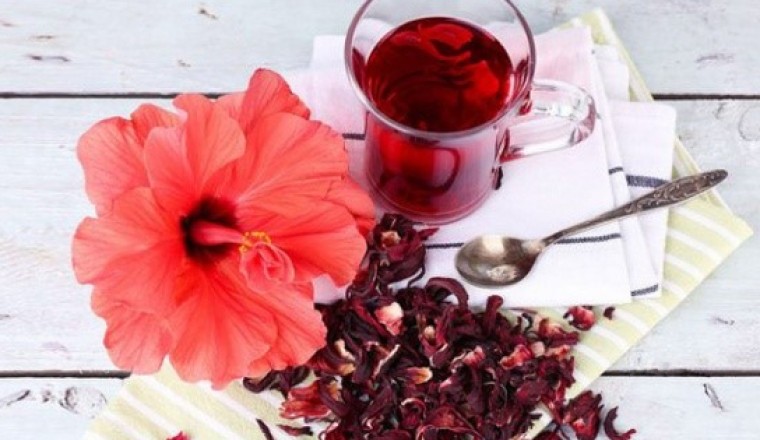 Tác dụng của trà Hibiscus trà hoa atiso đỏ