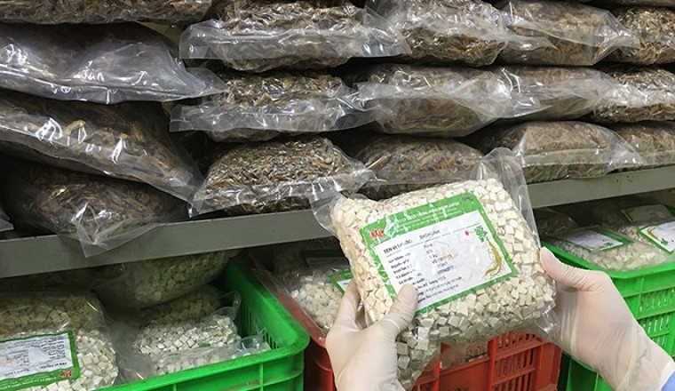 Thị trường thuốc thảo dược toàn cầu dự kiến đạt 550 tỷ đô la Mỹ vào năm 2030