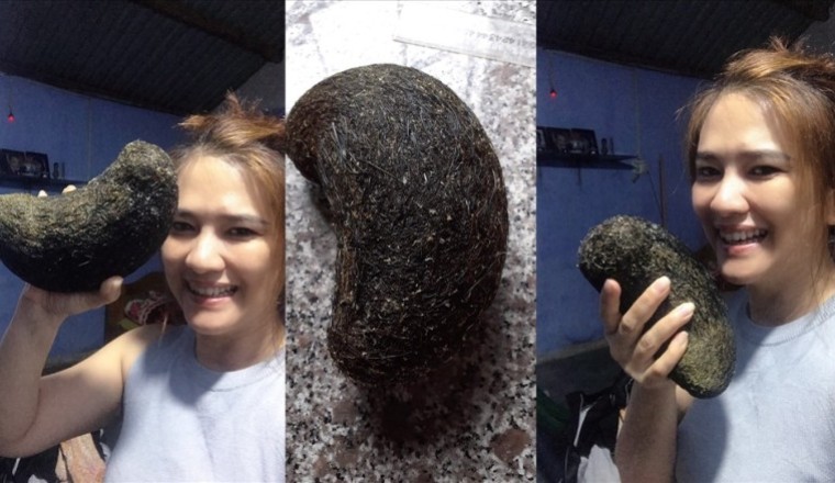 'Cát lợn, trư cát, trư sa cát lợn hay trứng vàng' được trả giá 500 triệu đồng, nhà khoa học nói 'không có giá trị'