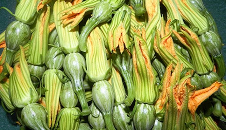 Hoa bí đỏ, bông bí ngô món ăn ngon, thuốc bổ từ hoa bí
