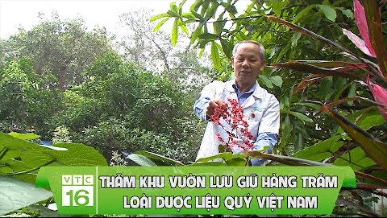 Thăm khu vườn lưu giữ hàng trăm loài dược liệu quý Việt Nam