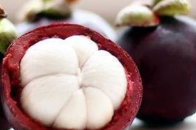 Măng cụt không chỉ là 'nữ hoàng trái cây' mà còn là một vị thuốc quý