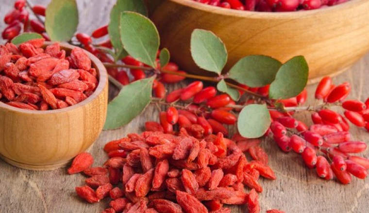 Kỷ tử tốt hơn cả đông trùng hạ thảo: Ăn vào thời điểm này, cơ thể gặt hái lợi ích gấp bội.