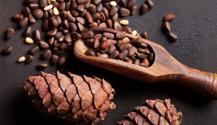 Loại hạt 'hạt trường sinh', tốt cho tim, bổ não: Người Việt để rụng và rất ít người ăn