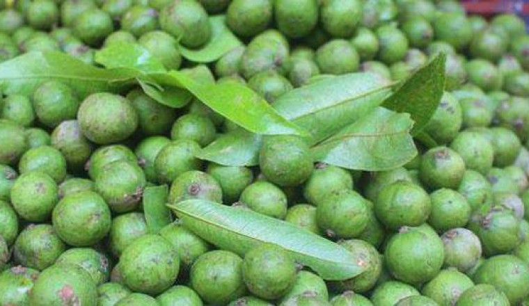 Loại quả nhìn là rớt nước miếng có cái tên hơi kỳ lạ, là thuốc tốt thải độc, khoẻ tiêu hoá
