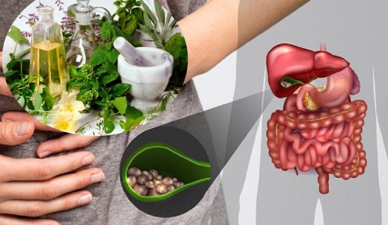 5 bài thuốc nam trị sỏi mật