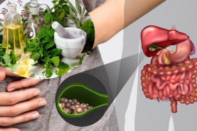 5 bài thuốc nam trị sỏi mật