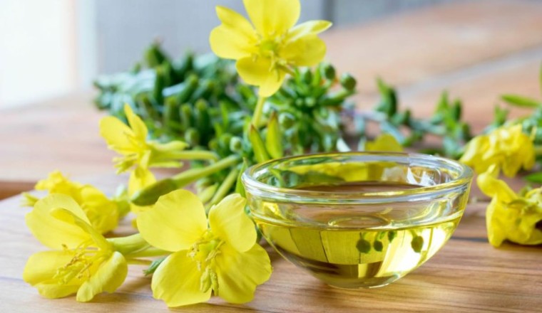 Những người bệnh không nên dùng dầu Hoa Anh Thảo