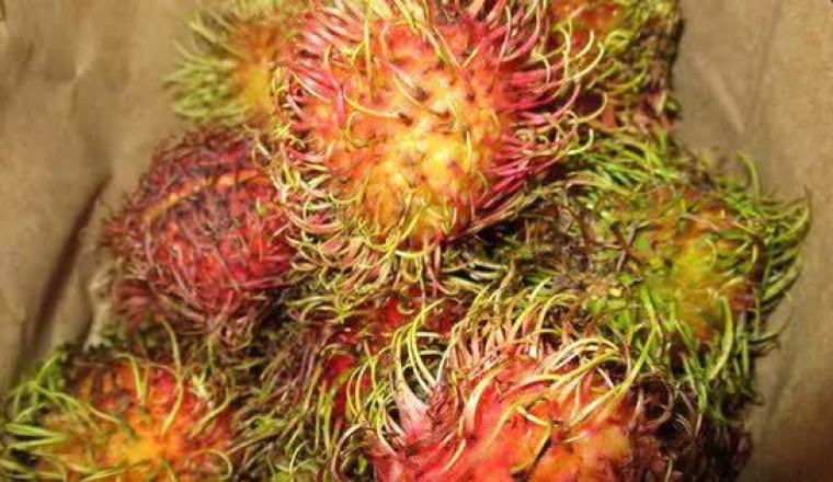 Lô hàng tương ớt, chôm chôm, thanh long của Việt Nam bị tiêu hủy ở châu Âu