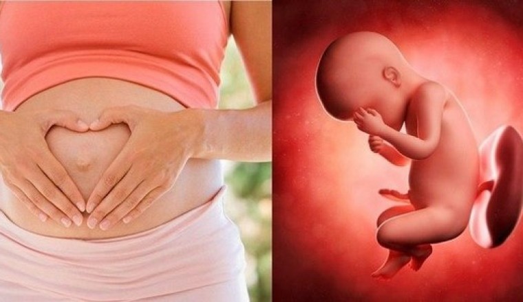 Những loại thảo mộc, trà thảo mộc bà bầu không nên dùng tránh gây dị tật bẩm sinh