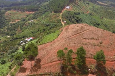 Bắt buộc công ty Địa ốc Phú Đông phải rà soát, điều chỉnh đề xuất dự án cây dược liệu