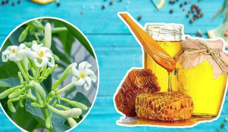 Hoa Đu Đủ Đực ngâm với Mật Ong có tác dụng gì