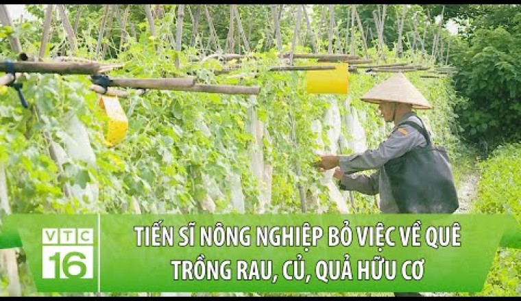 Tiến sĩ Nông nghiệp bỏ việc về quê trồng rau, củ, quả hữu cơ