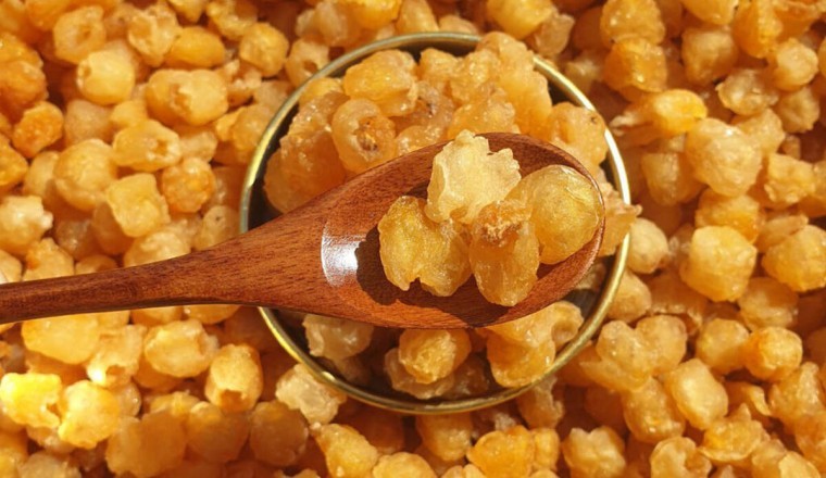 Long nhãn vị thuốc chữa mất ngủ, suy nhược thần kinh