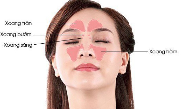 Các phương pháp và bài thuốc hay trị viêm xoang tại nhà