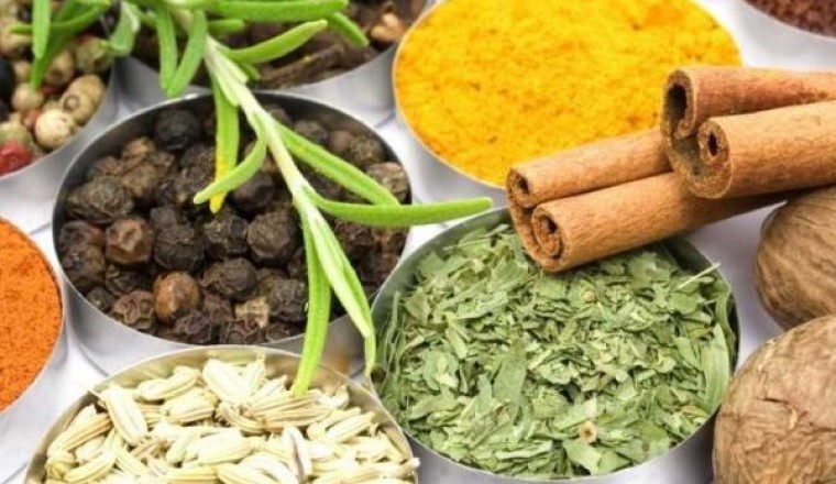 Những loại Thảo dược dùng chữa tiểu đường