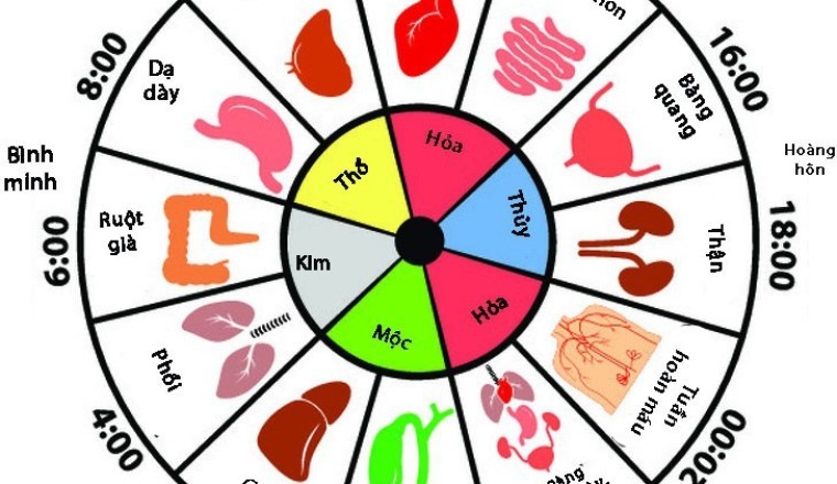 Y học cổ truyền Trung Quốc chỉ ra lý do bạn thức giấc giữa đêm
