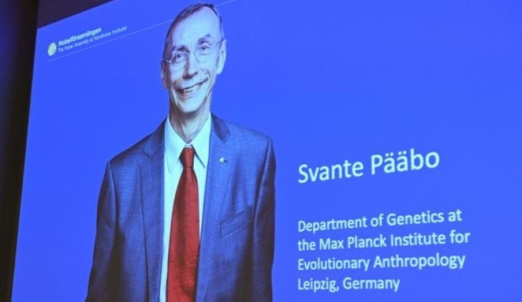 Nghiên cứu về cội nguồn gene người đoạt giải Nobel Y Sinh 2022