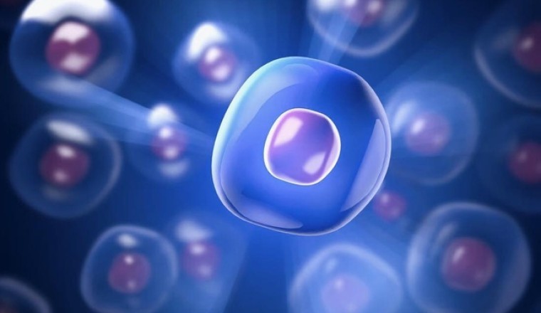 Nhóm nhà nghiên cứu Trung Quốc tuyên bố tìm ra thuốc kéo dài tuổi thọ