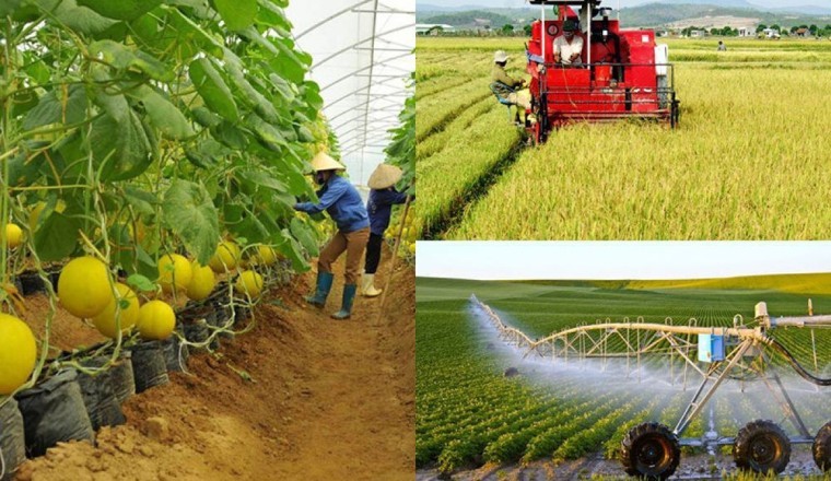 Nhựa đang tích tụ nhiều trong đất nông nghiệp đáng báo động