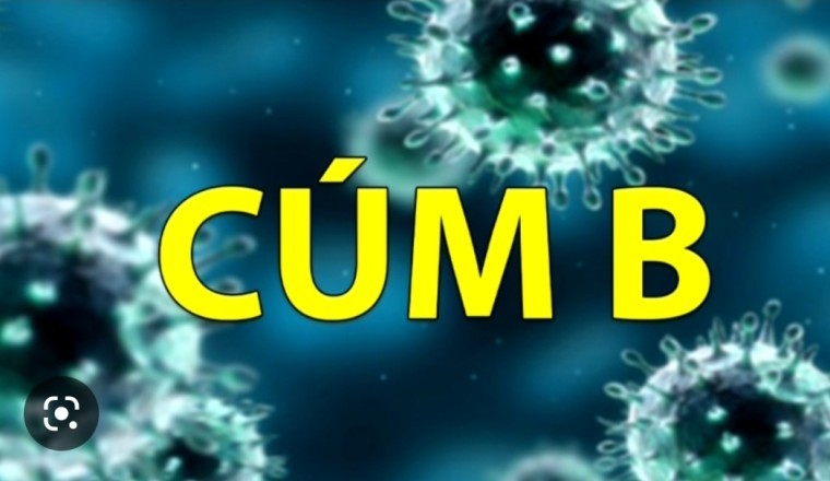 Triệu chứng mắc cúm B và cách điều trị