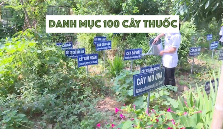 Danh mục 100 dược liệu có giá trị y tế và kinh tế cao để tập trung phát triển giai đoạn 2020-2030