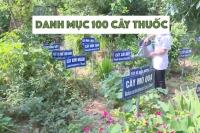 Danh mục 100 dược liệu có giá trị y tế và kinh tế cao để tập trung phát triển giai đoạn 2020-2030