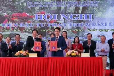 Xúc tiến các dự án đầu tư phát triển Sâm Lai Châu