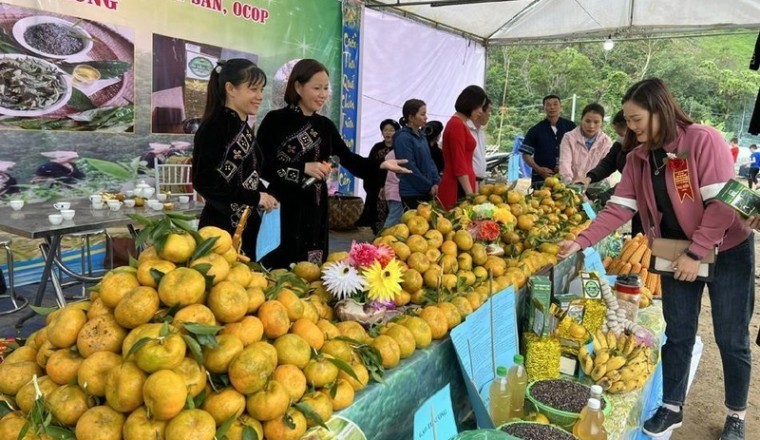 Bắc Kạn khai mạc Ngày hội cam, quýt